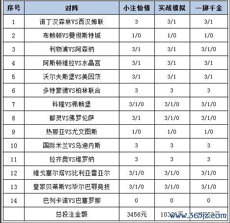投注政策